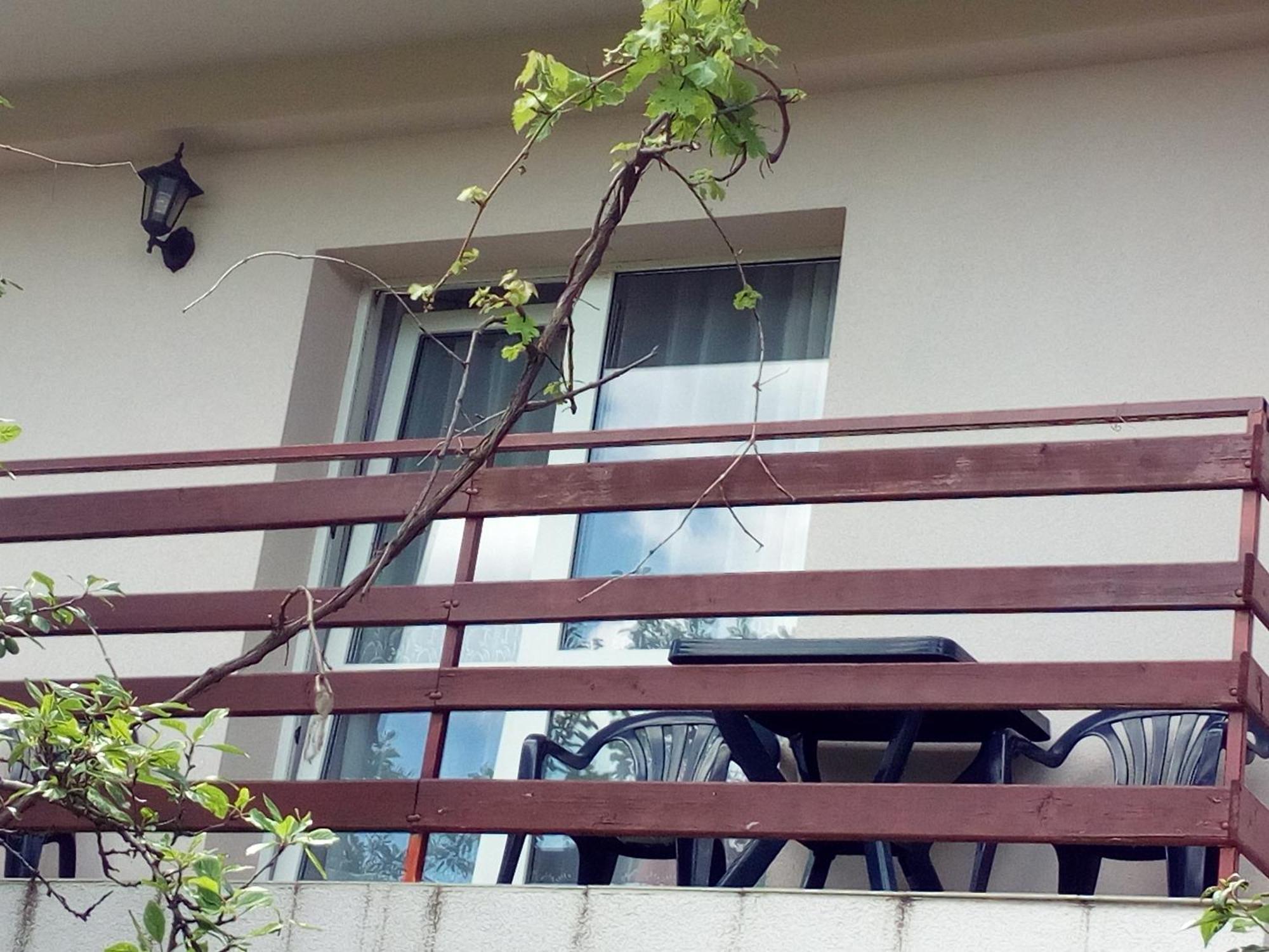 Apartments Nebojsa Соко Баня Стая снимка